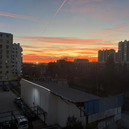 Daria * Варна